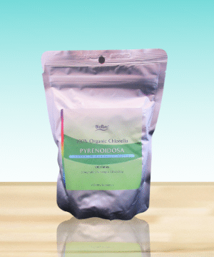 Chlorella Pyrenoidosa 1000